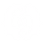 Dreamtok Logo